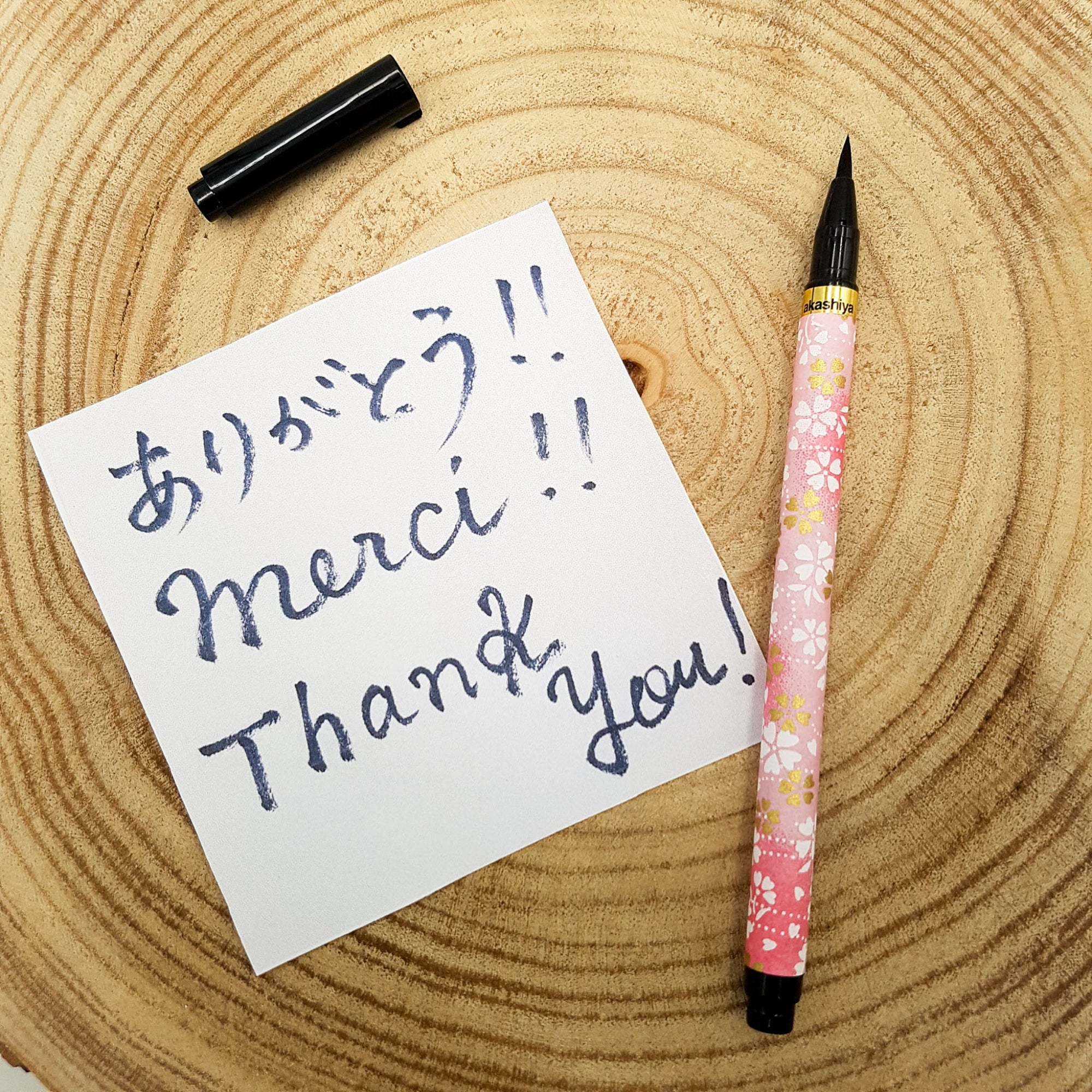 Caligraphic Pen - Set A
