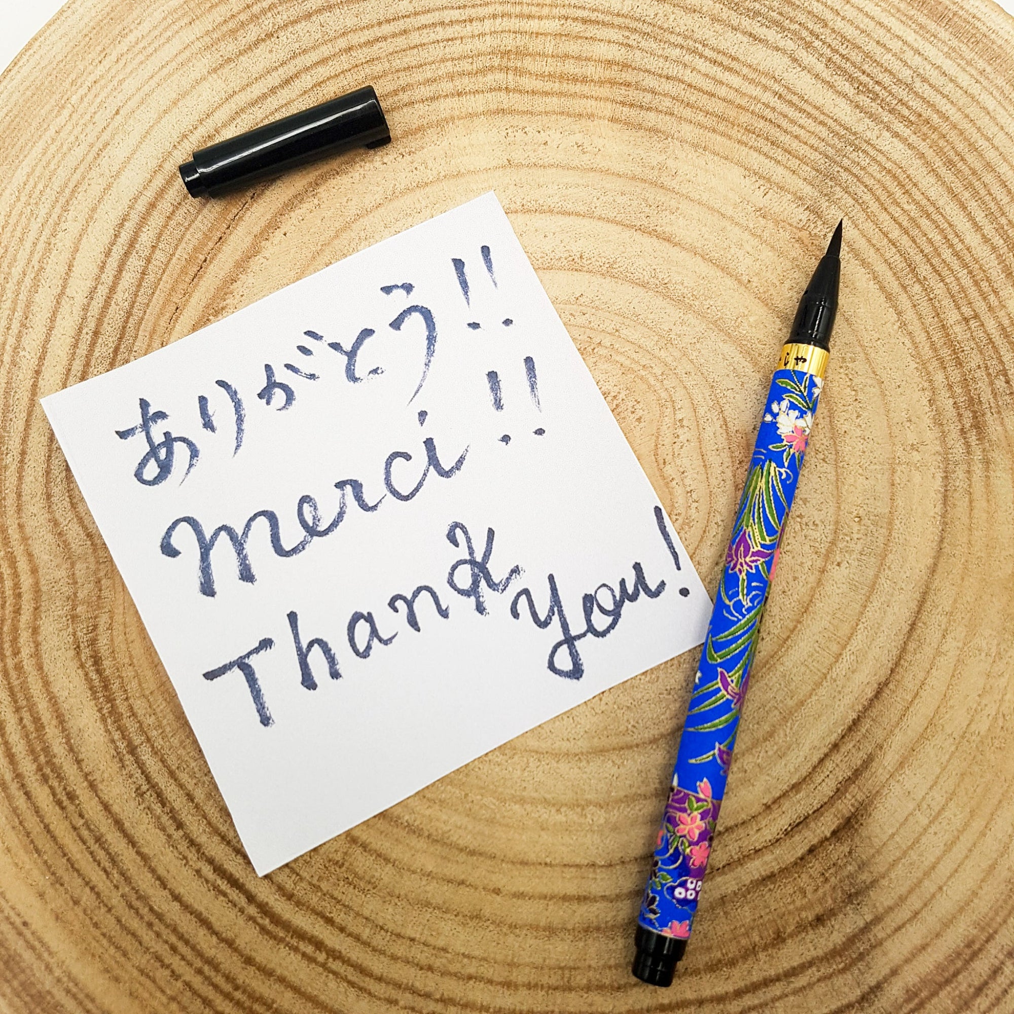 Calligraphy Pen - Set I