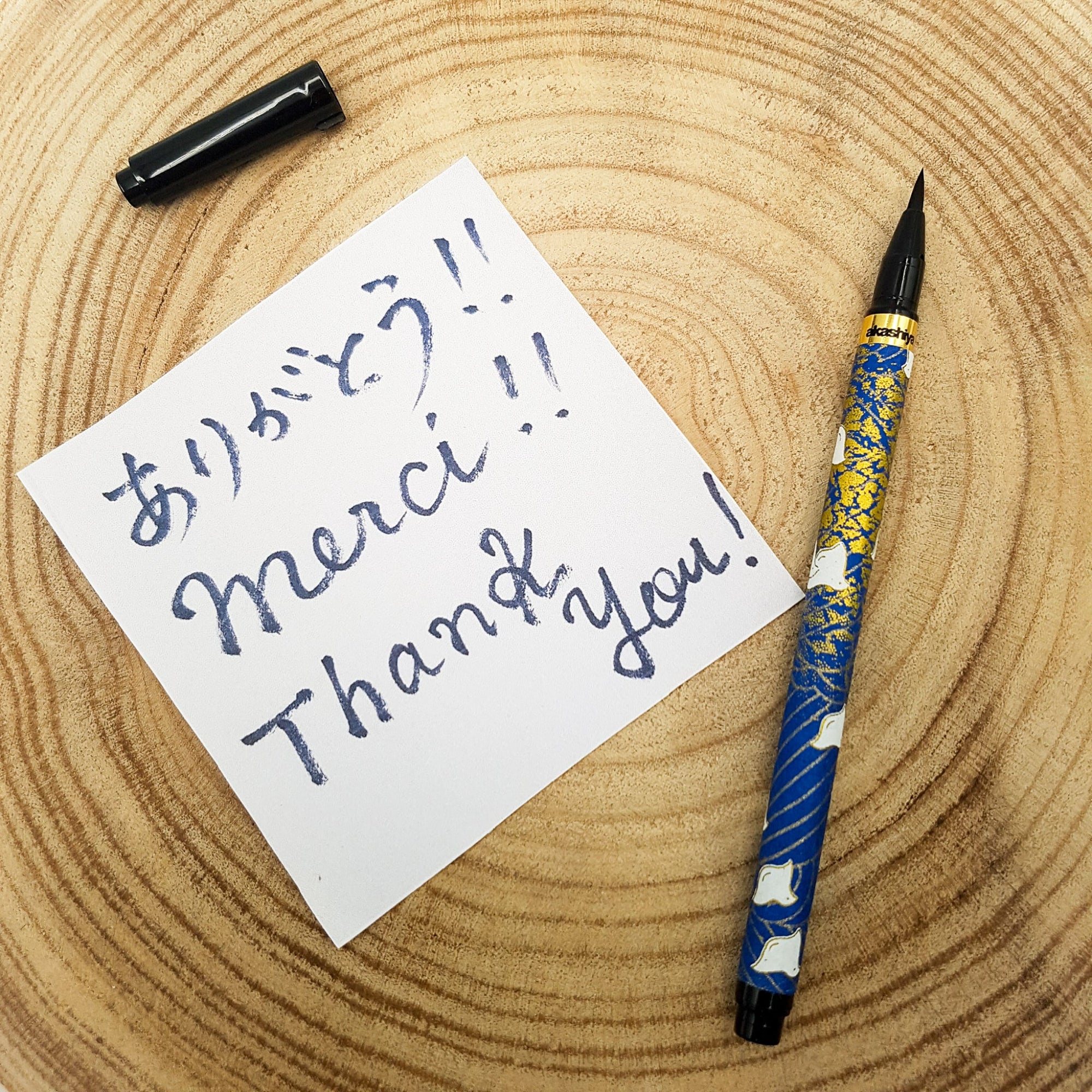 Calligraphy Pen - Set I