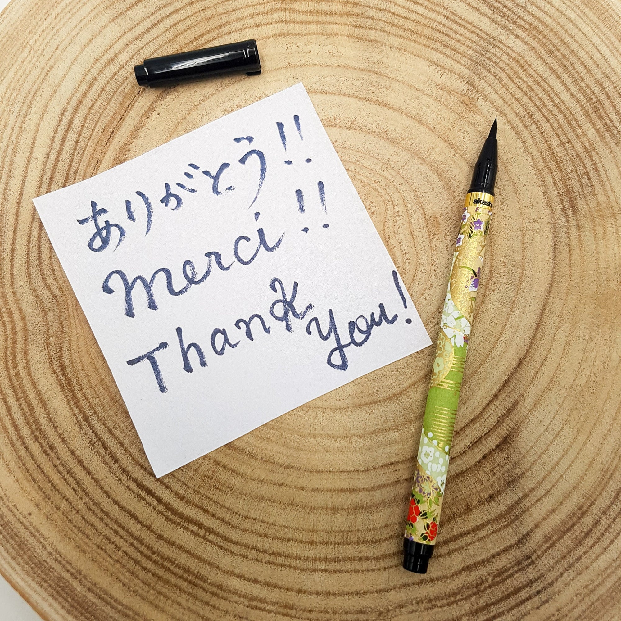 Calligraphy Pen - Set J