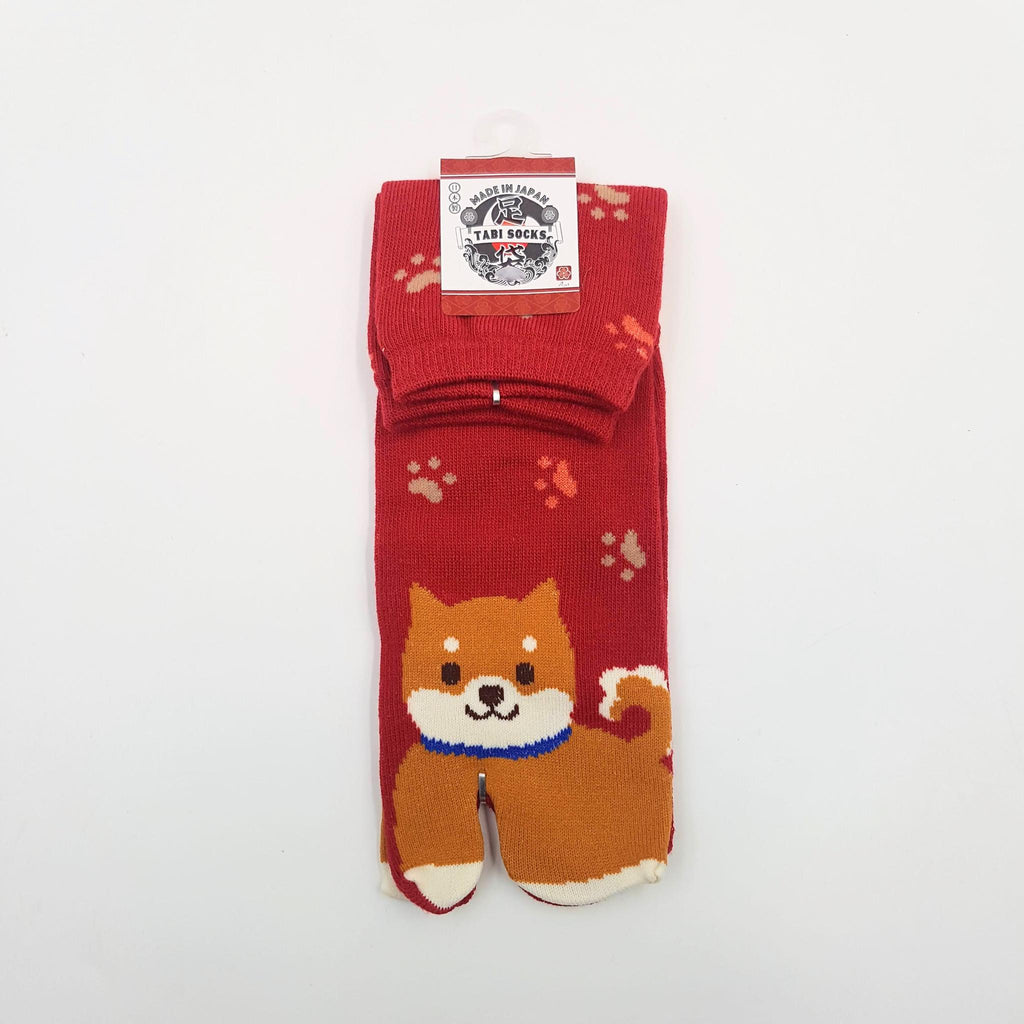 Chaussettes Japonaises Tabi - Motif Shiba Inu avec Empreinte de pas - Taille Eu34-40 - par lot de 6 paires