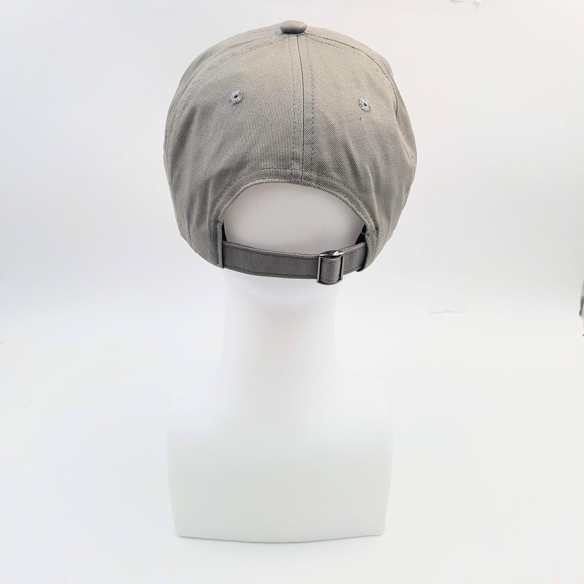 AOI Grey Cap - Koi