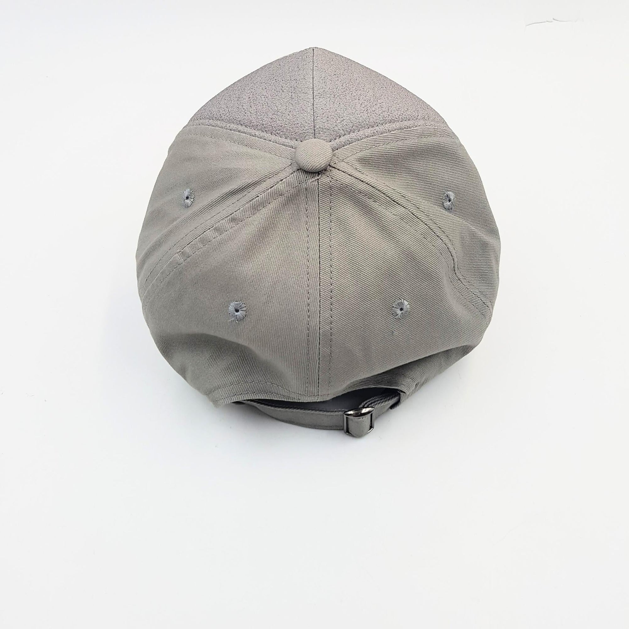 AOI Grey Cap - Koi